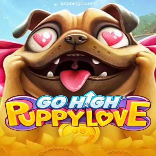 Exploring the Excitement of GoHighPuppyLove